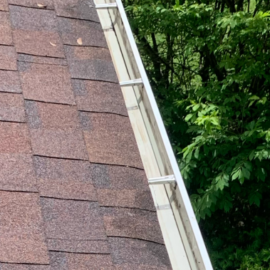 gutter cleaning services