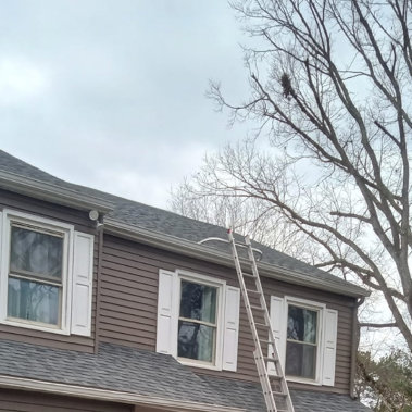 ladder safety stabilizer