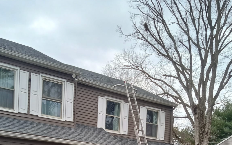 ladder safety stabilizer